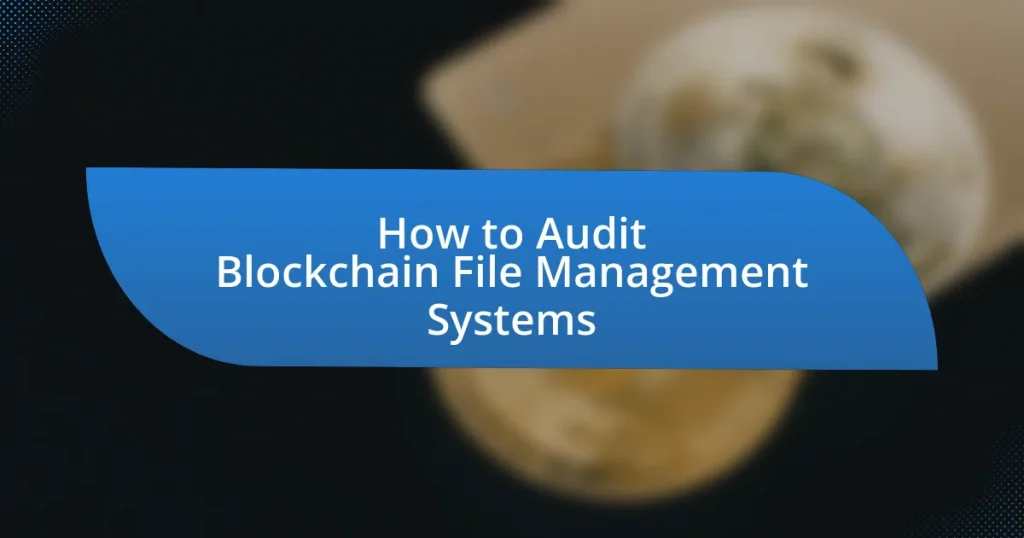 How to Audit Blockchain File Management Systems