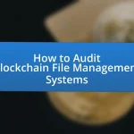 How to Audit Blockchain File Management Systems