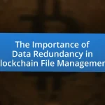The Importance of Data Redundancy in Blockchain File Management