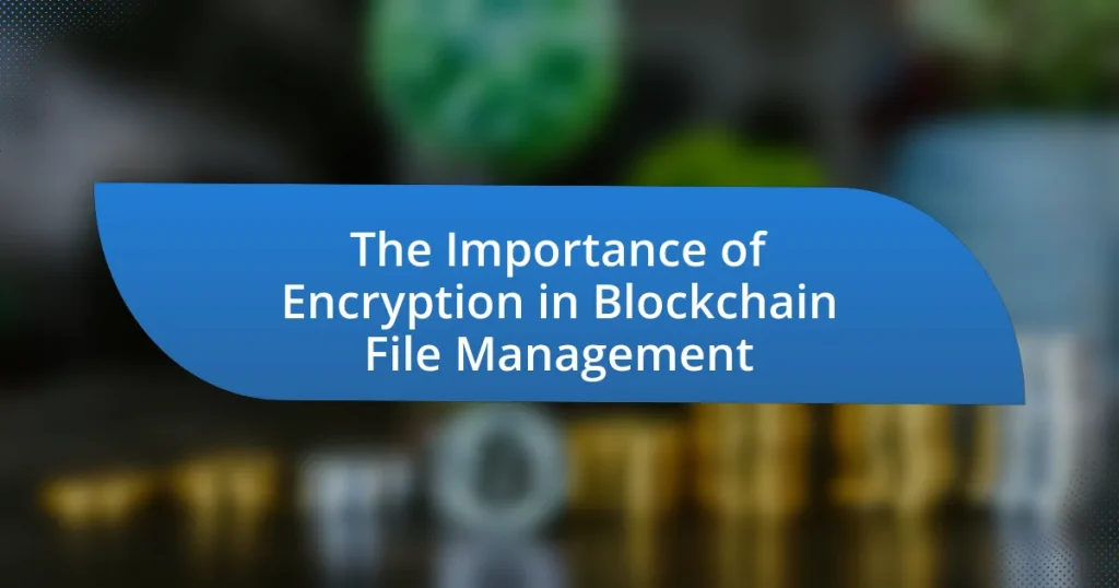 The Importance of Encryption in Blockchain File Management