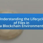 Understanding the Lifecycle of Files in a Blockchain Environment