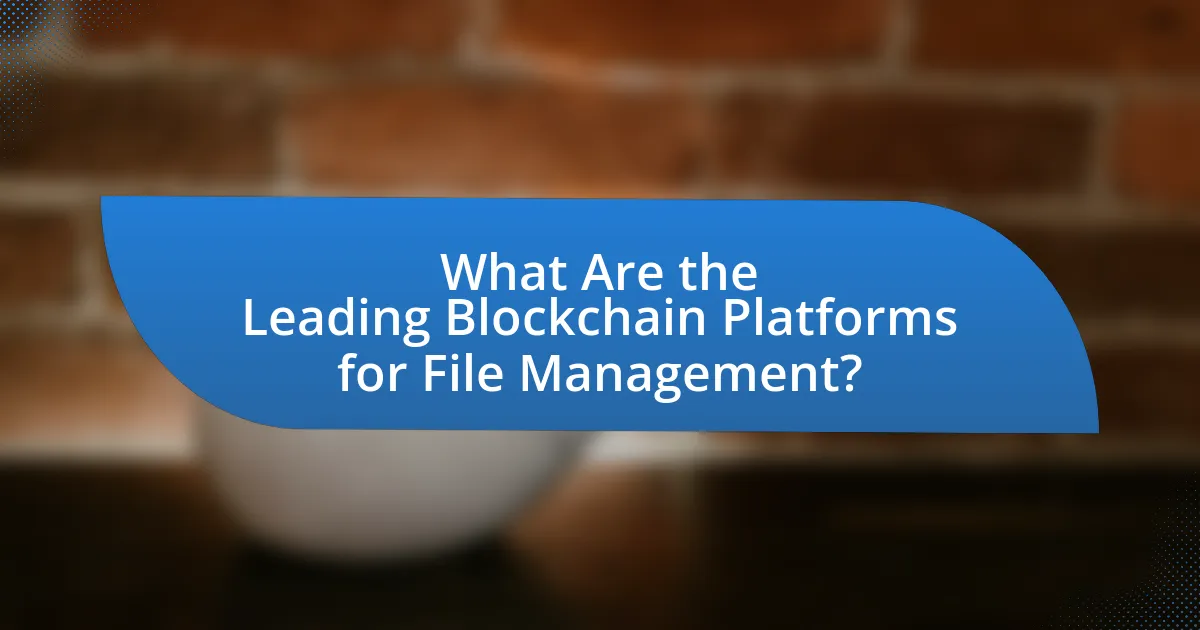 What Are the Leading Blockchain Platforms for File Management?