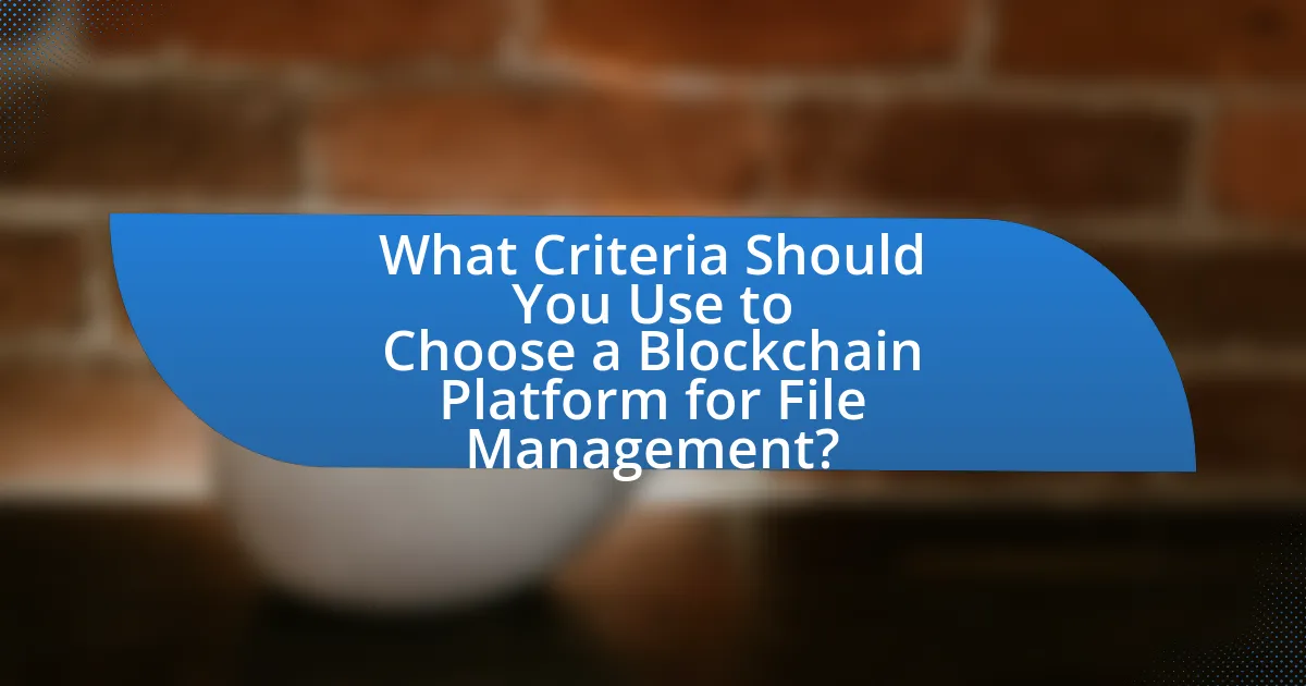 What Criteria Should You Use to Choose a Blockchain Platform for File Management?