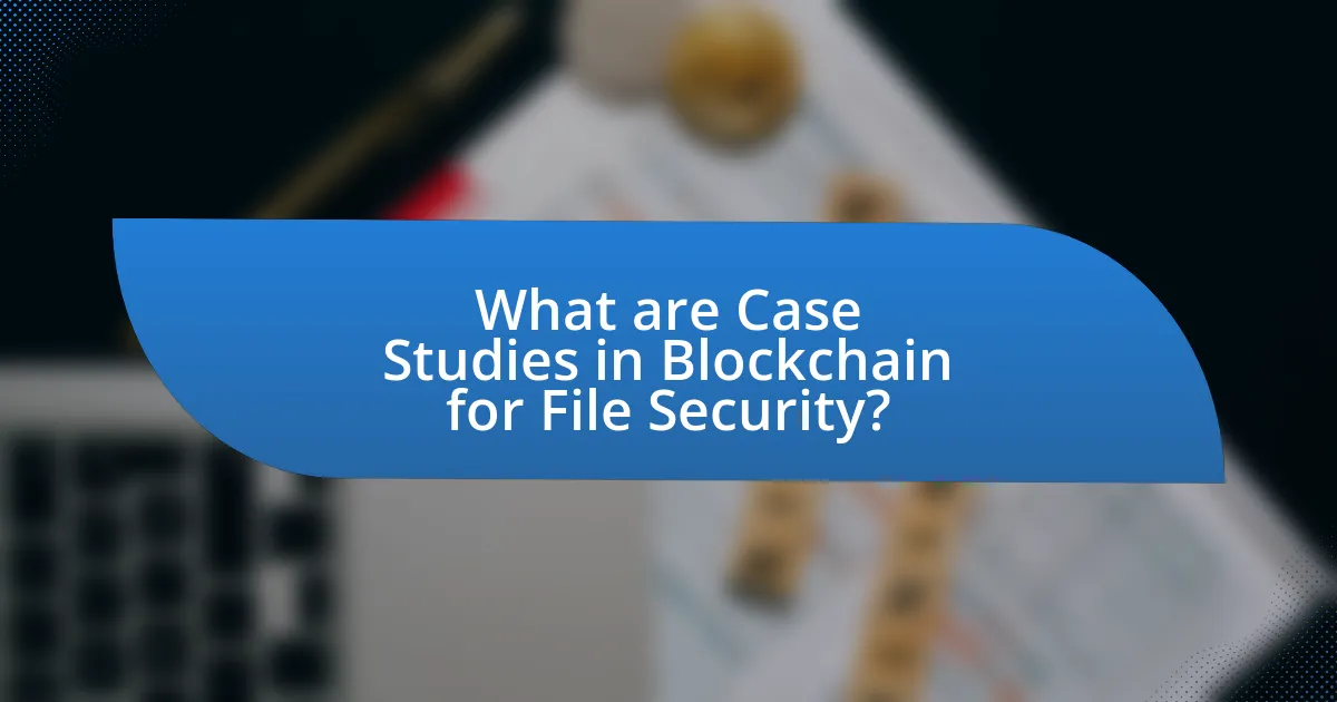 What are Case Studies in Blockchain for File Security?