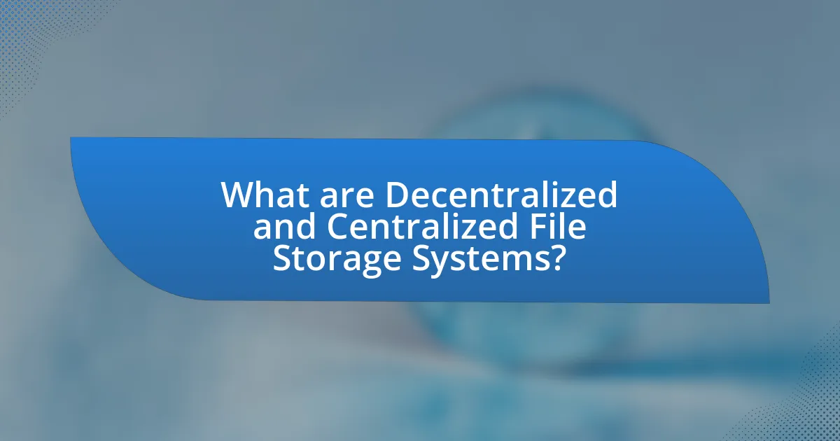 What are Decentralized and Centralized File Storage Systems?