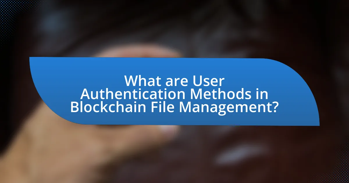 What are User Authentication Methods in Blockchain File Management?