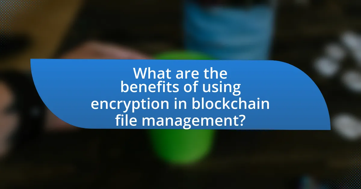 What are the benefits of using encryption in blockchain file management?