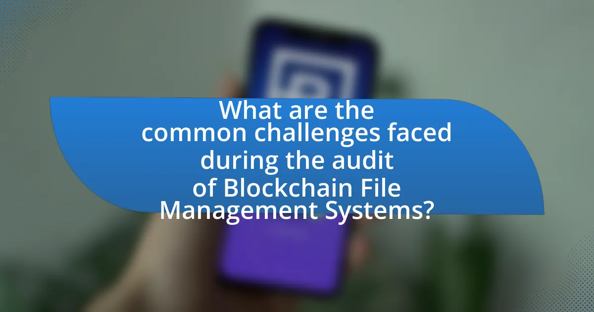 What are the common challenges faced during the audit of Blockchain File Management Systems?