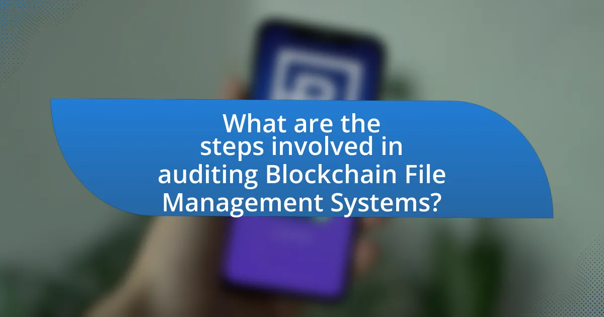 What are the steps involved in auditing Blockchain File Management Systems?