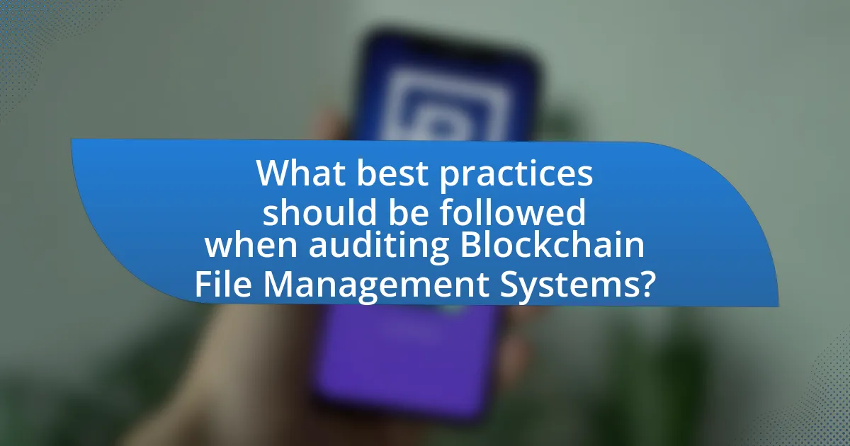 What best practices should be followed when auditing Blockchain File Management Systems?