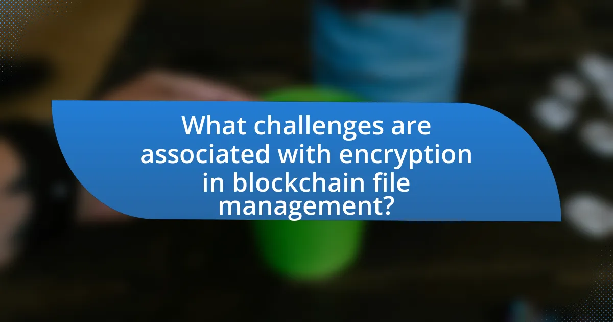 What challenges are associated with encryption in blockchain file management?