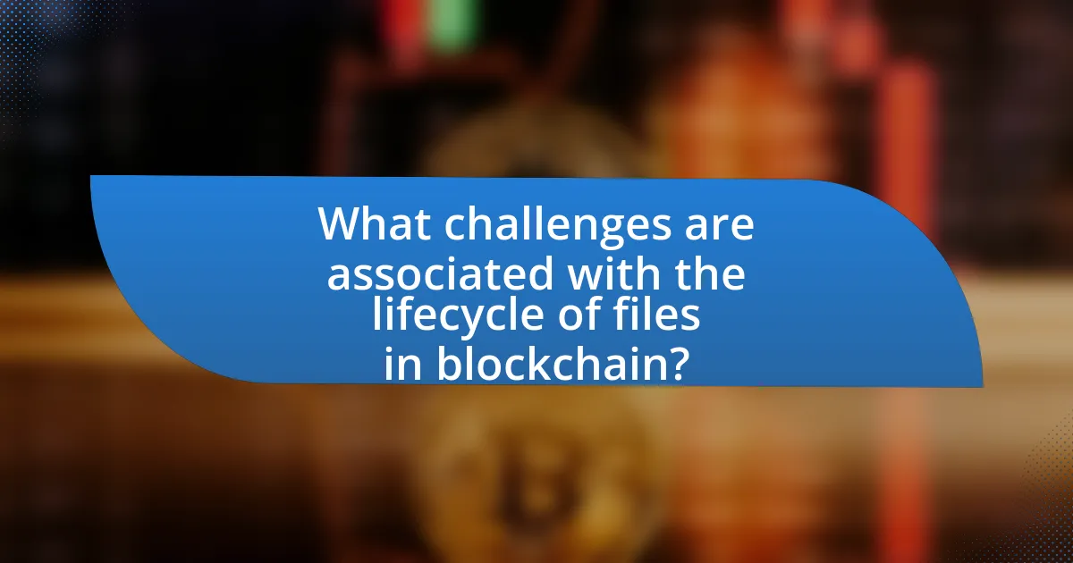 What challenges are associated with the lifecycle of files in blockchain?