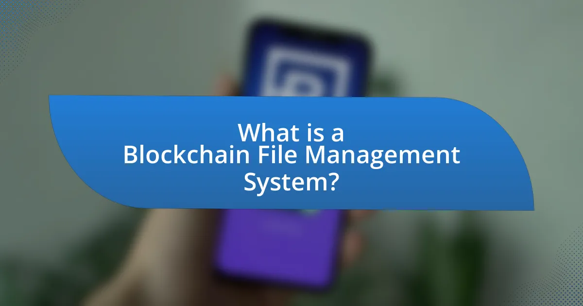 What is a Blockchain File Management System?