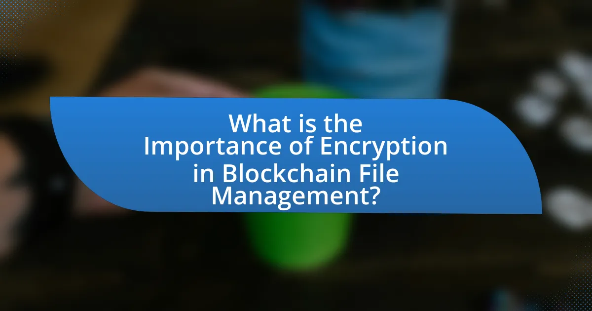What is the Importance of Encryption in Blockchain File Management?