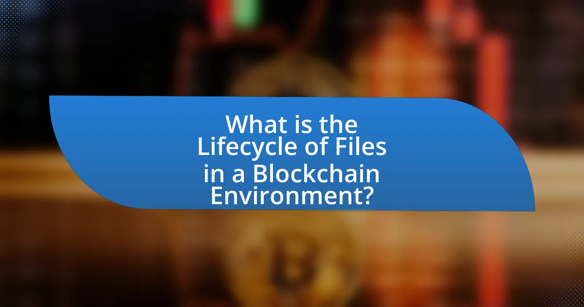 What is the Lifecycle of Files in a Blockchain Environment?