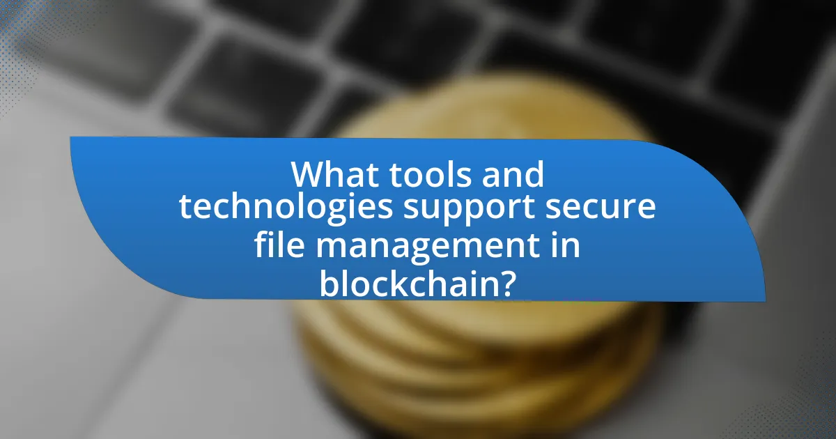 What tools and technologies support secure file management in blockchain?